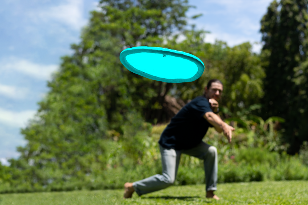 ULTIMATE MOON DISC