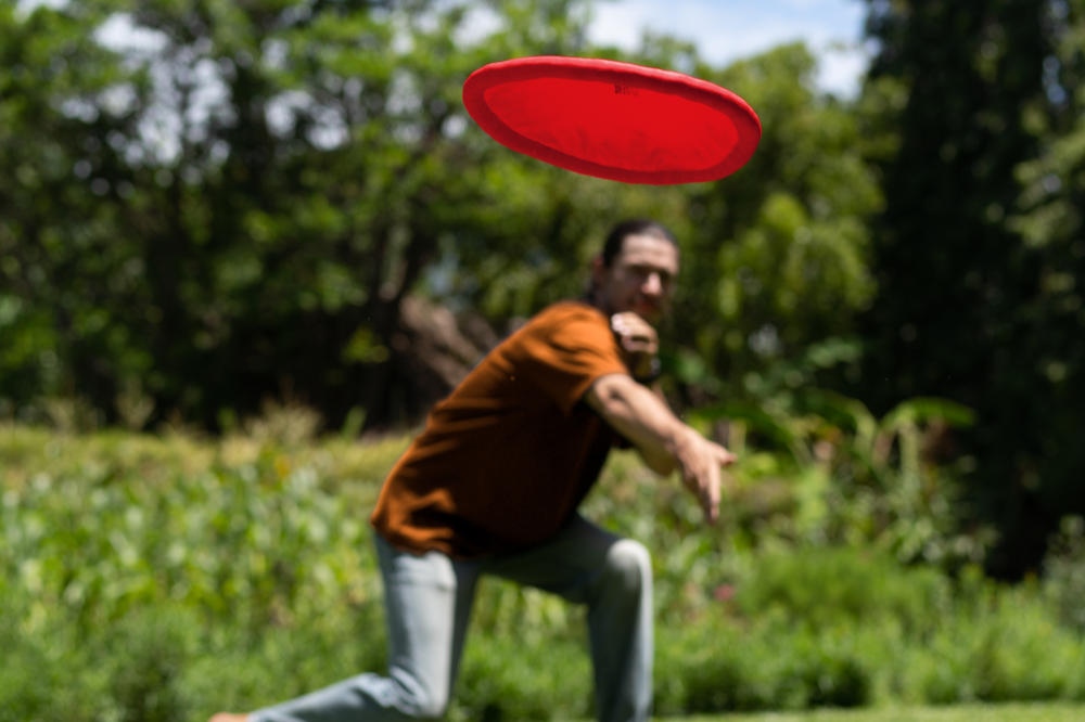 ULTIMATE MOON DISC