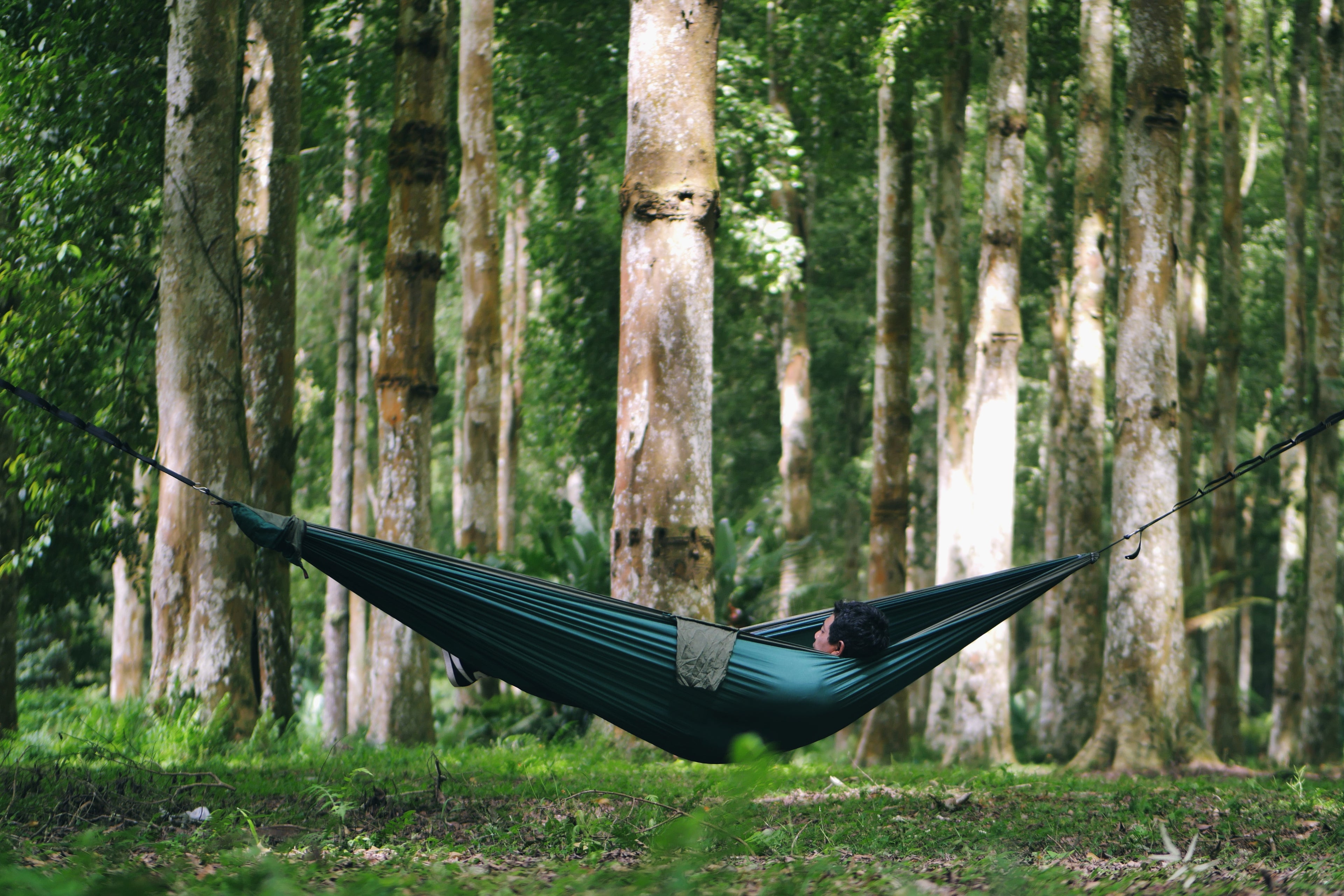 ORIGINAL HAMMOCK