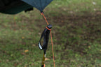 MOON TARP