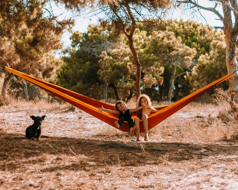Two people sitting in a red hammock with a dog nearby in a forest setting